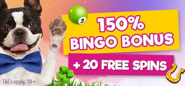 Kitty bingo free spins games